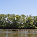 DSC_0063.jpg